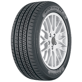 Avid Ascend GT Tires